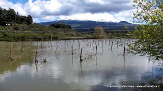 Lago Gurrida